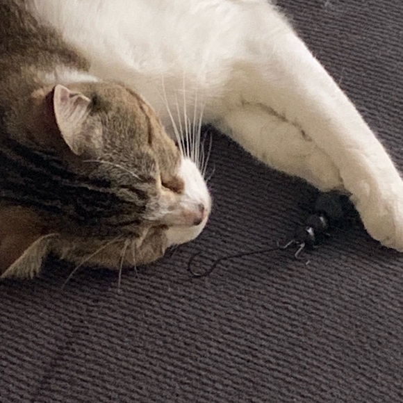 Meet your Posher, Tina - Picture 6 of 15